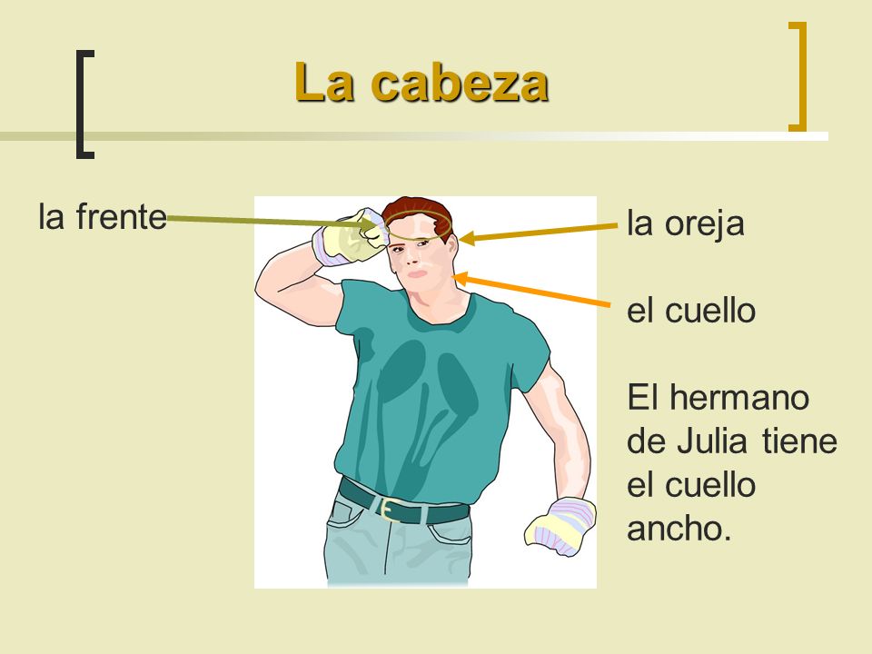 Duele los riñones de la causa a las mujeres y a quien